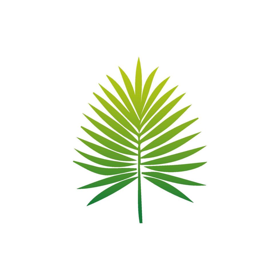 Green Tropical leaves isolated on white background. vector