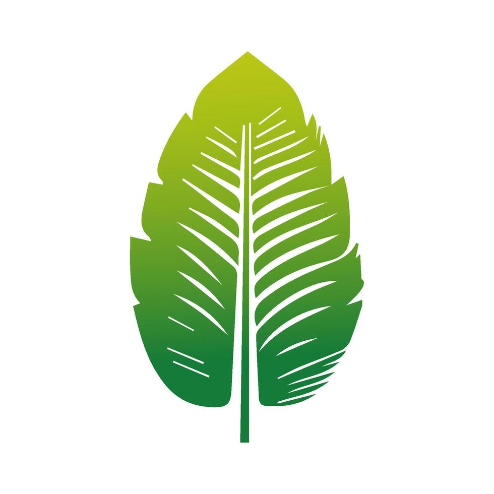 Green leaf icon. Elements design for natural, eco, vegan, bio labels vector