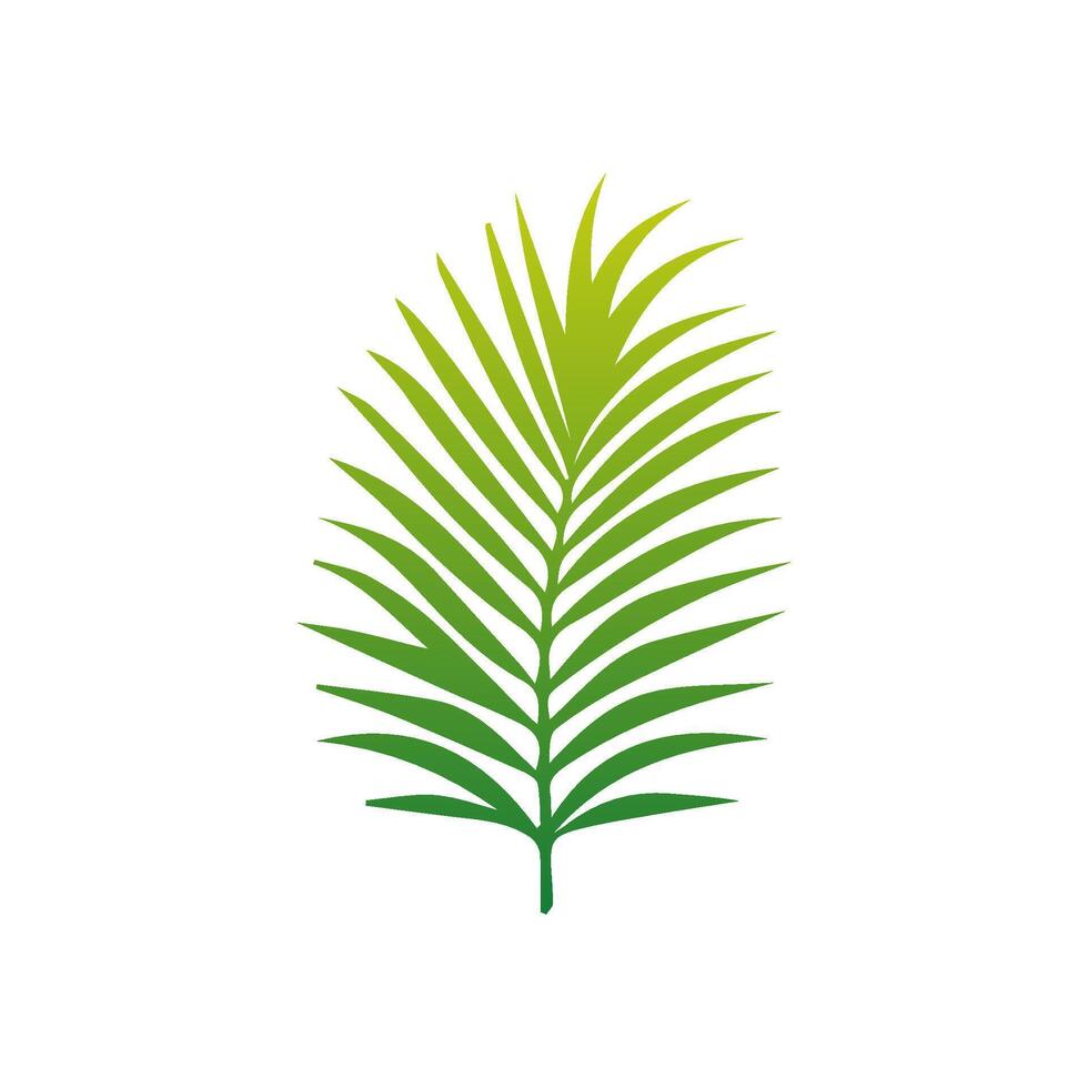 Green Tropical leaves isolated on white background. vector