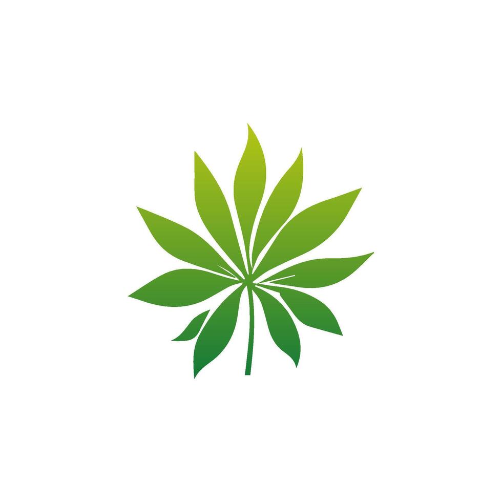Green Tropical leaves isolated on white background. vector