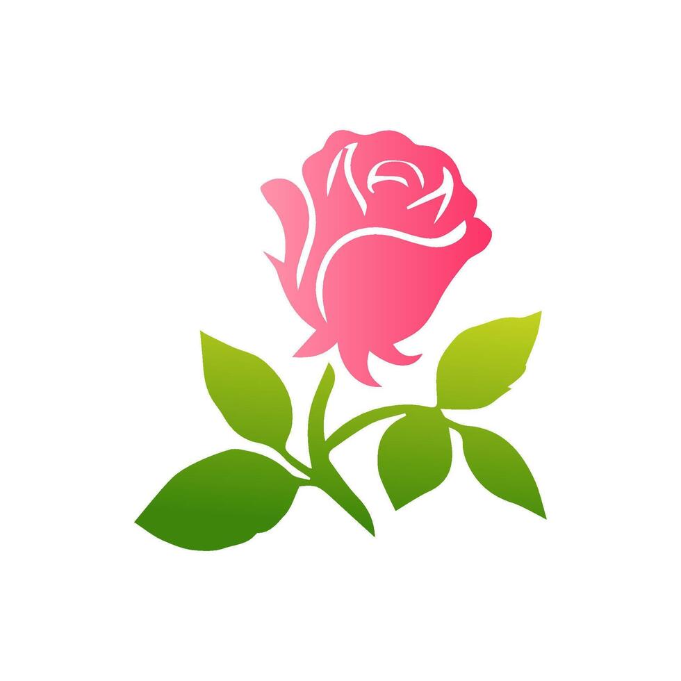Pink rose flowers, floral decorated with gorgeous multicolored blooming flowers and leaves border. Spring botanical flat illustration on white background vector