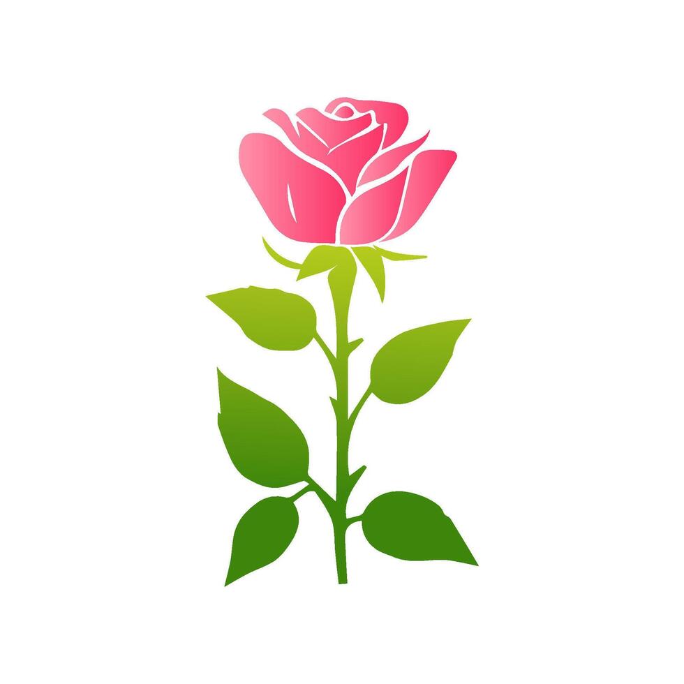 Pink rose flowers, floral decorated with gorgeous multicolored blooming flowers and leaves border. Spring botanical flat illustration on white background vector