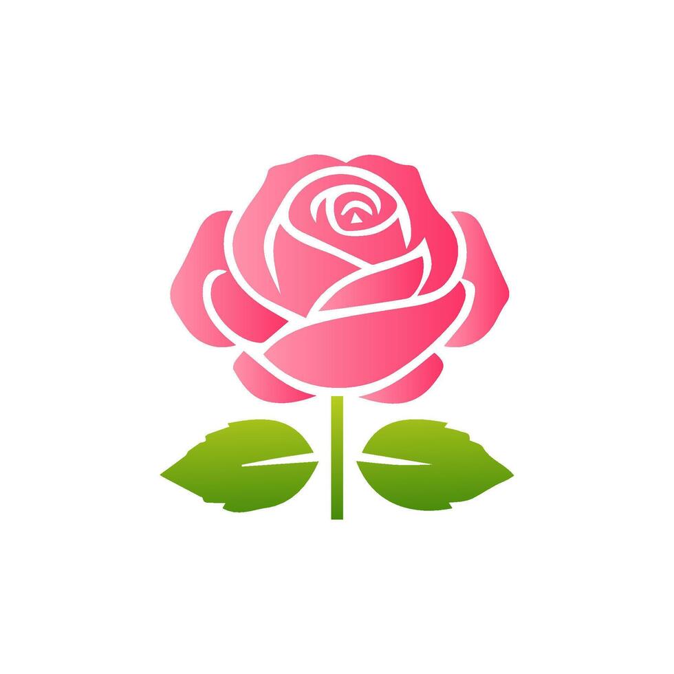 Pink rose flowers, floral decorated with gorgeous multicolored blooming flowers and leaves border. Spring botanical flat illustration on white background vector