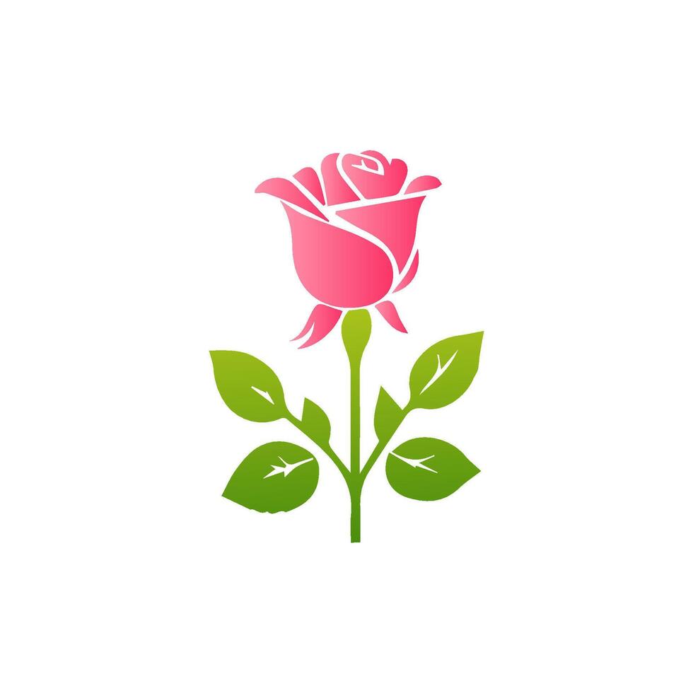 Pink rose flowers, floral decorated with gorgeous multicolored blooming flowers and leaves border. Spring botanical flat illustration on white background vector