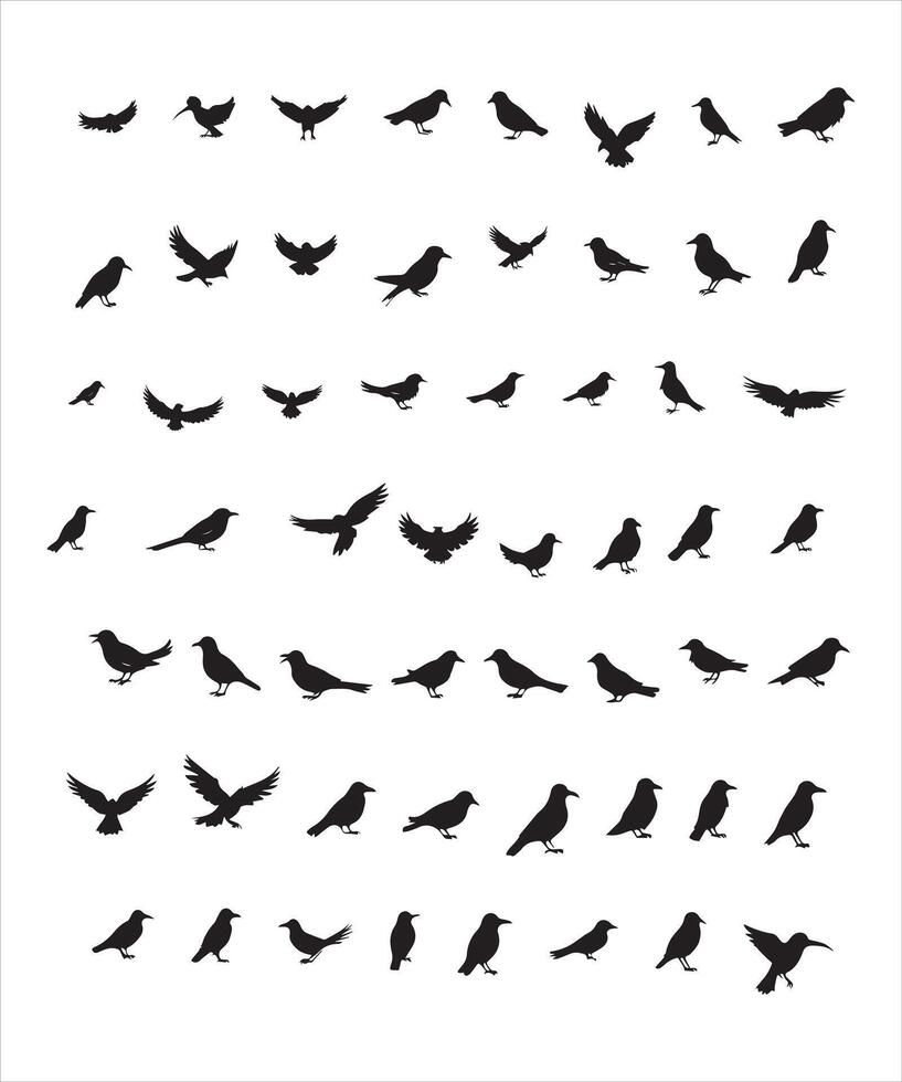 Set of black bird silhouettes. elements for design. vector