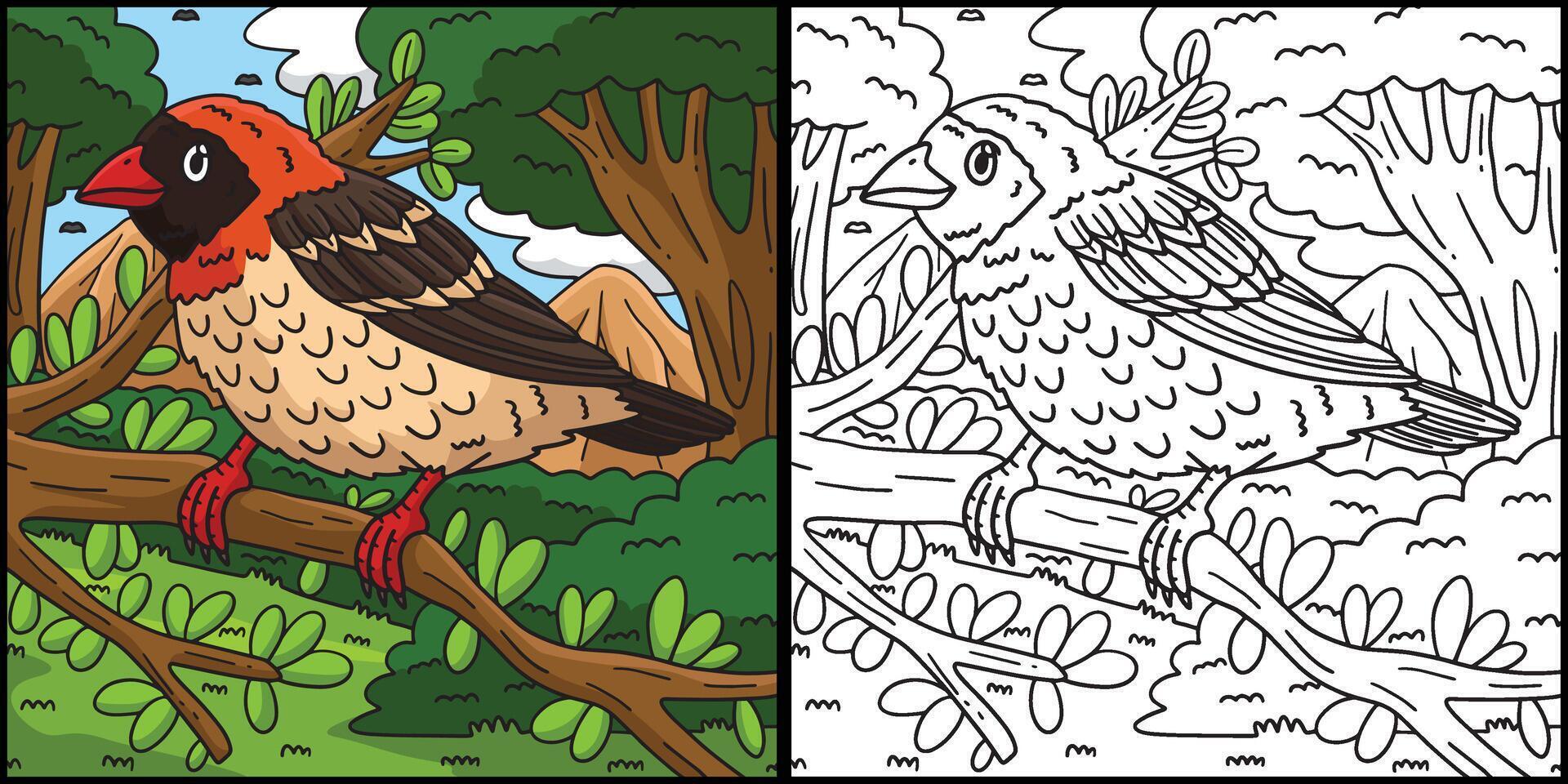 Red Billed Quelea Bird Coloring Page Illustration vector