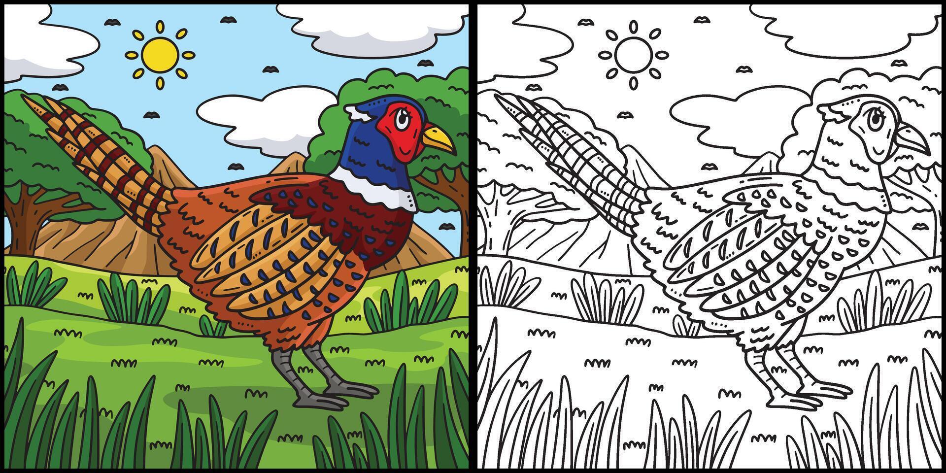 Common Pheasant Bird Coloring Page Illustration vector