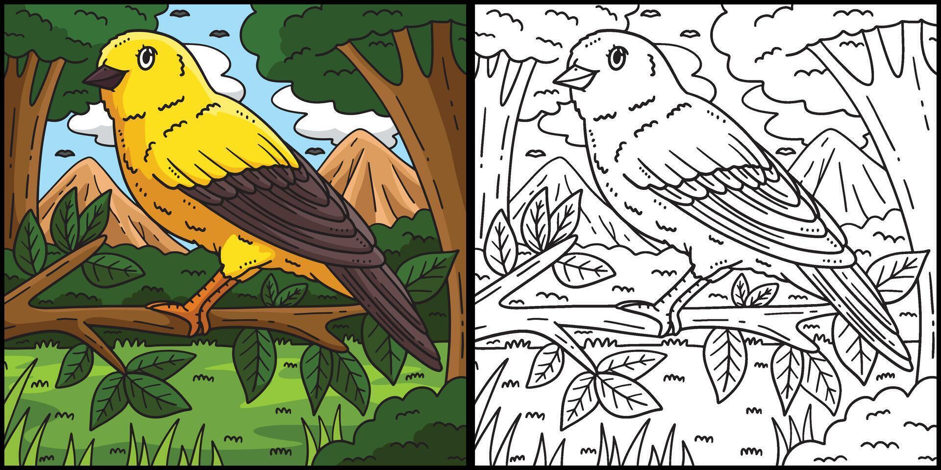 Canary Bird Coloring Page Colored Illustration vector