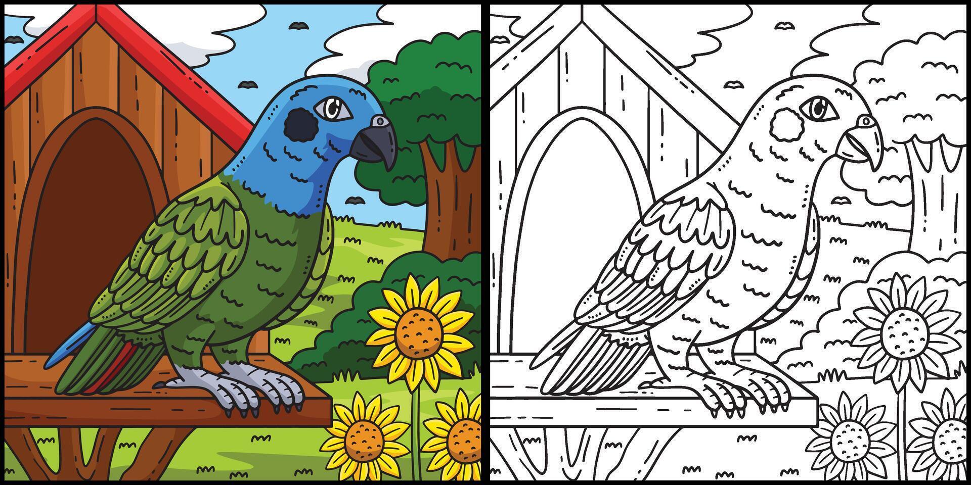Pionus Parrot Bird Coloring Page Illustration vector