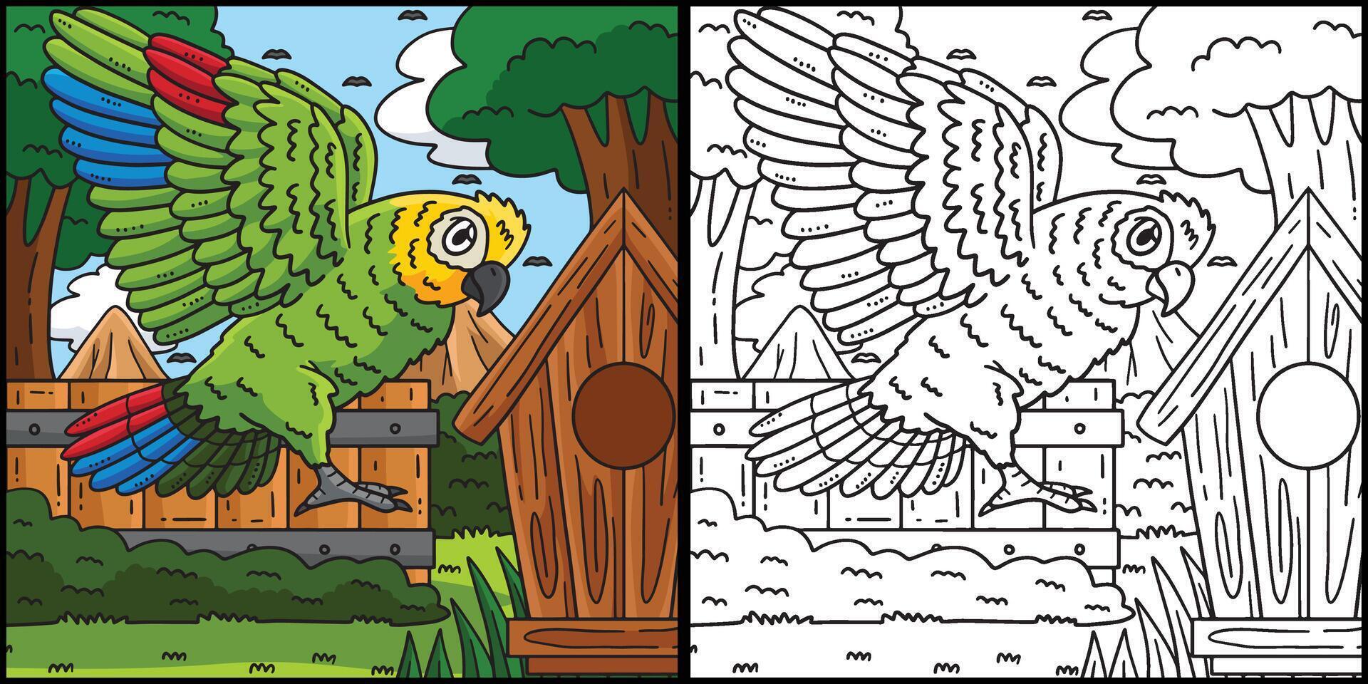 Amazon Parrot Bird Coloring Page Illustration vector