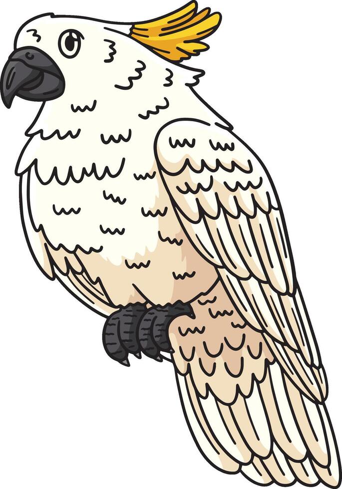 Cockatoo Bird Cartoon Colored Clipart Illustration vector