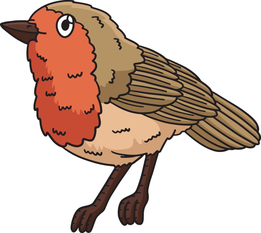 European Robin Bird Cartoon Colored Clipart vector