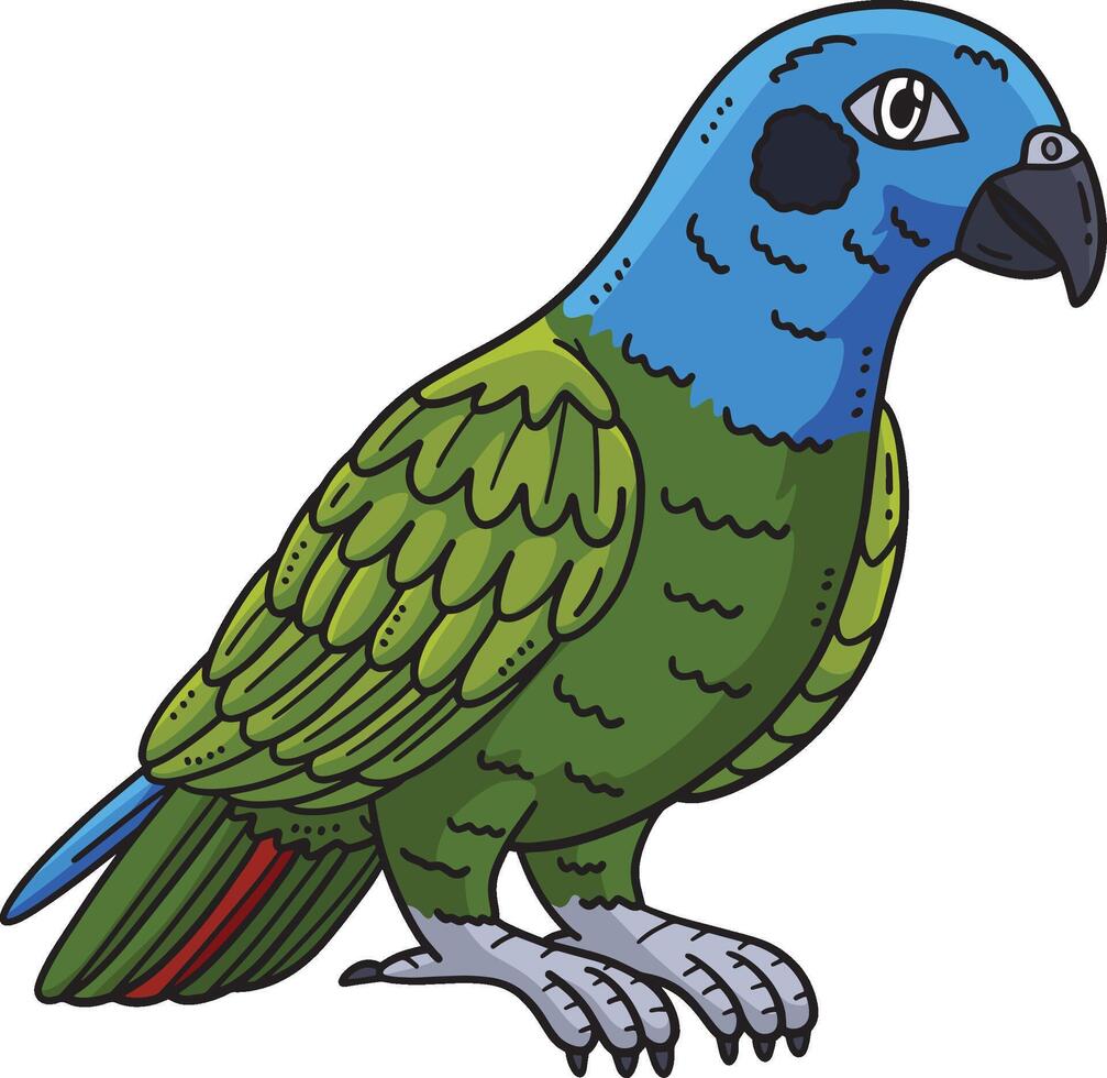 Pionus Parrot Bird Cartoon Colored Clipart I vector