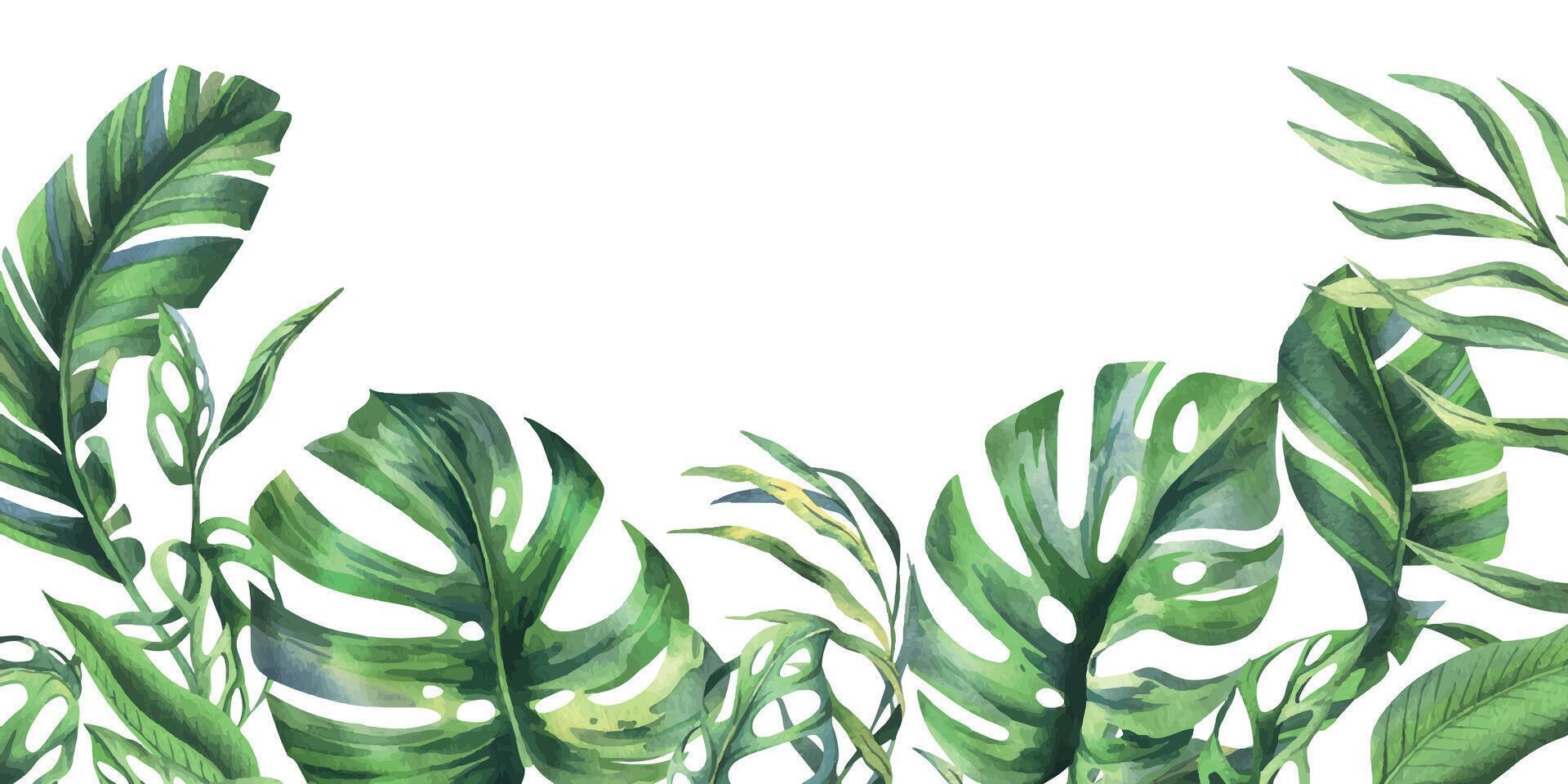 Tropical coconut, banana palm leaves, monstera, monkey mask, frangipani, bright juicy green. Hand drawn watercolor botanical illustration. Frame, template isolated from background vector