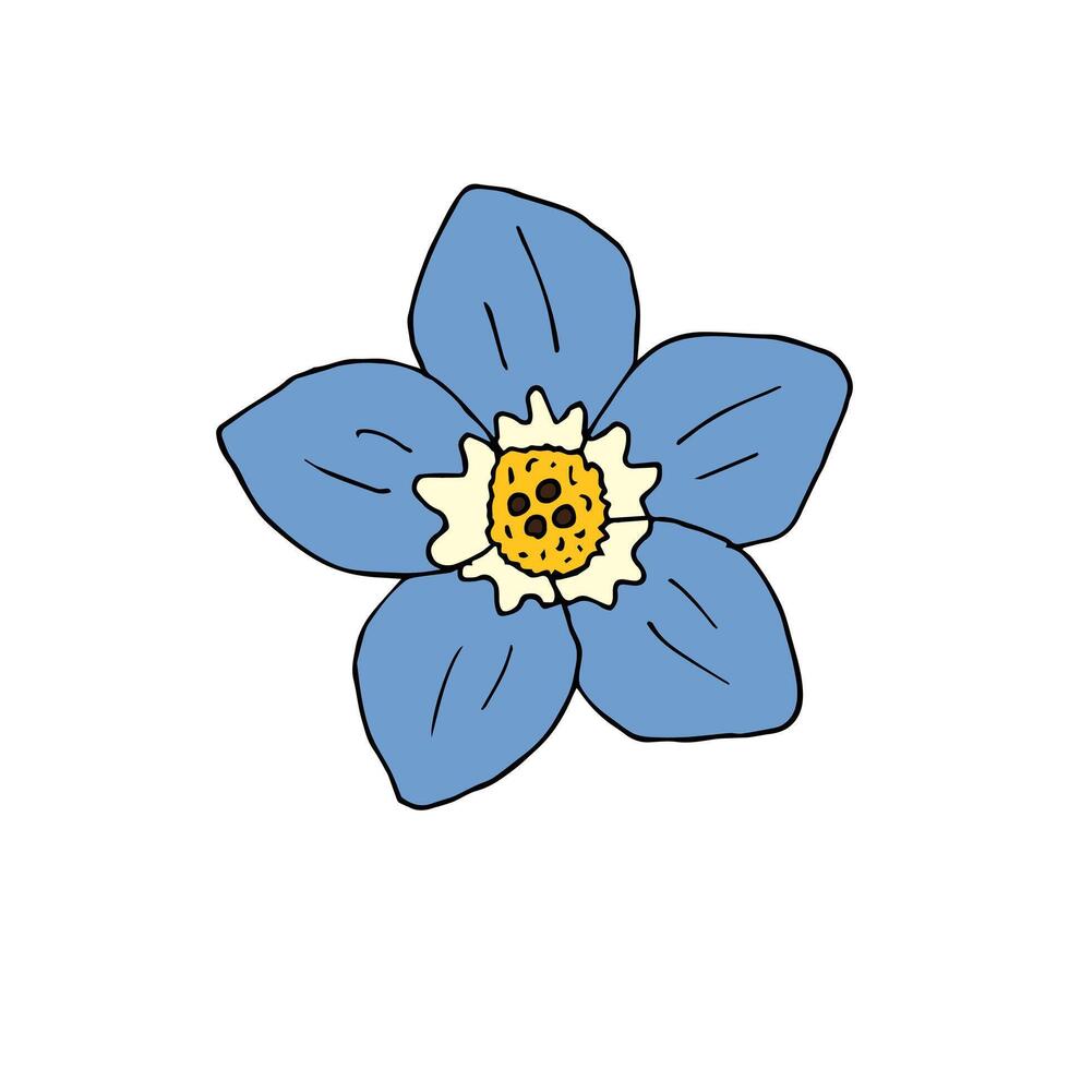 Hand drawn doodle sketch forget me not 46022620 Vector Art at Vecteezy