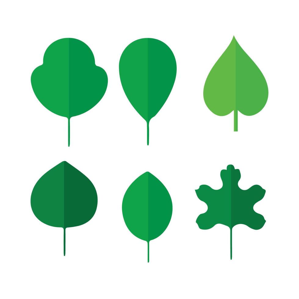 Leaf Collection Pro vector