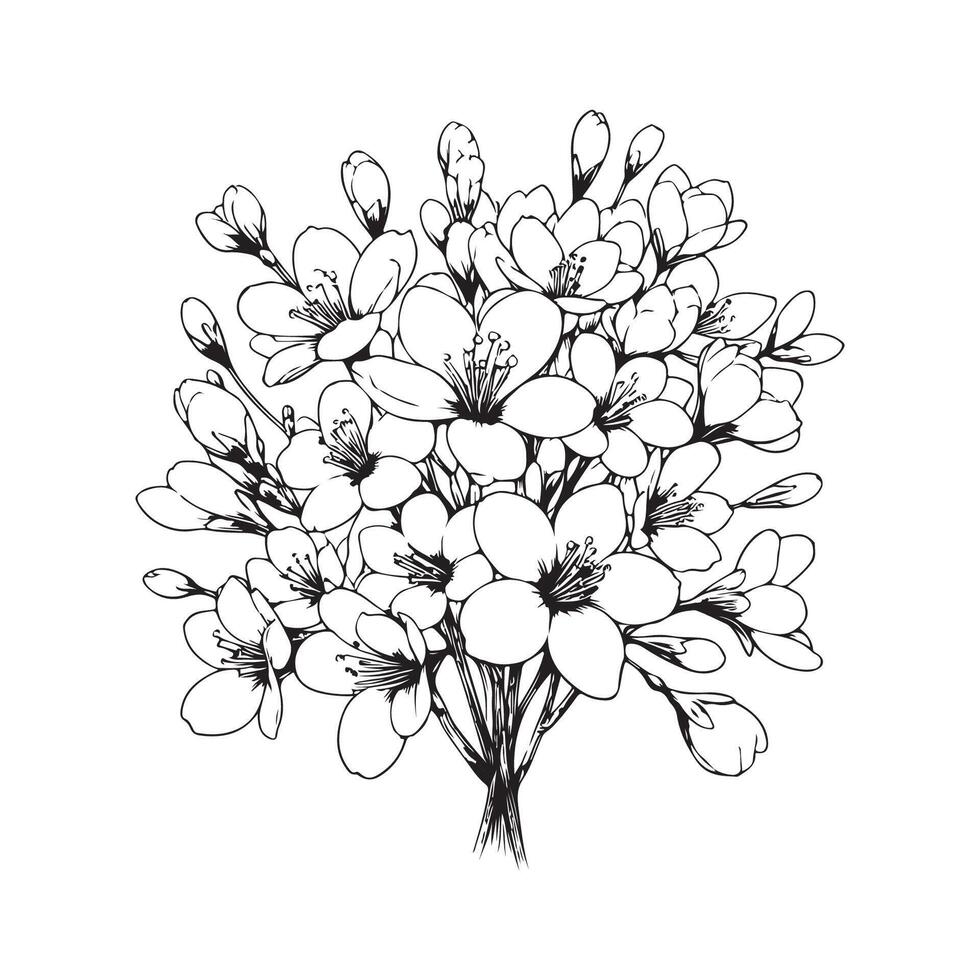 Tung Blossom Tung Flower vector