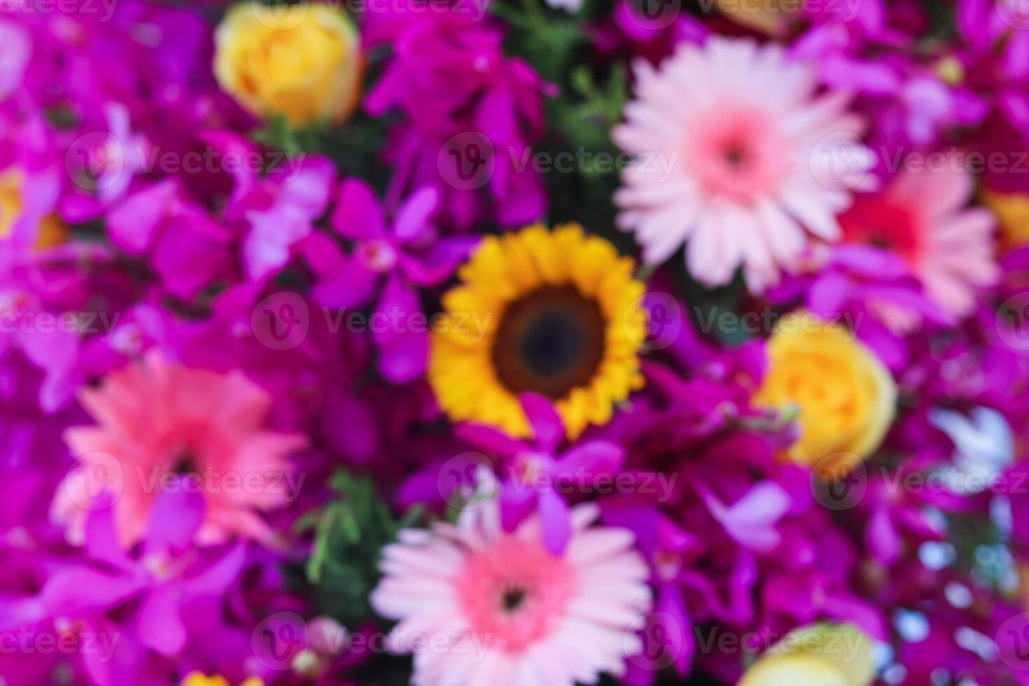 background of beautifully arranged flower and bright colors is backdrop for flower in beautifully arranged garden at flower festival. Beautiful colorful background with Copy Space for inserting text. photo