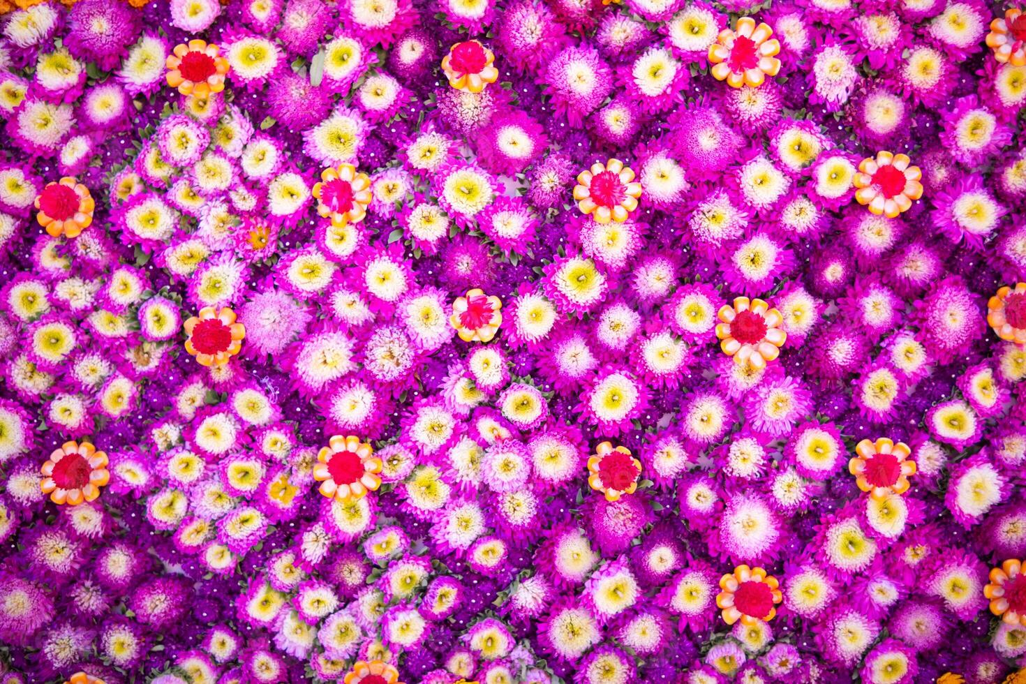 backdrop of beautifully arranged flower and bright colors is backdrop for flower in beautifully arranged garden at flower festival. Beautiful colorful background with Copy Space for inserting text. photo