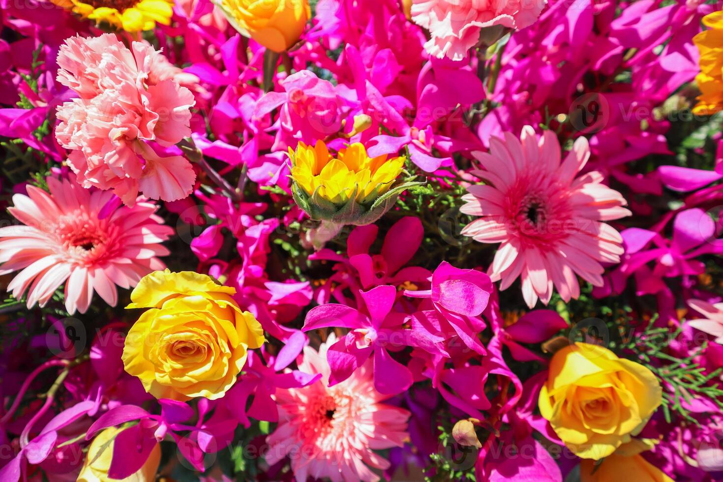 backdrop of beautifully arranged flower and bright colors is backdrop for flower in beautifully arranged garden at flower festival. Beautiful colorful background with Copy Space for inserting text. photo