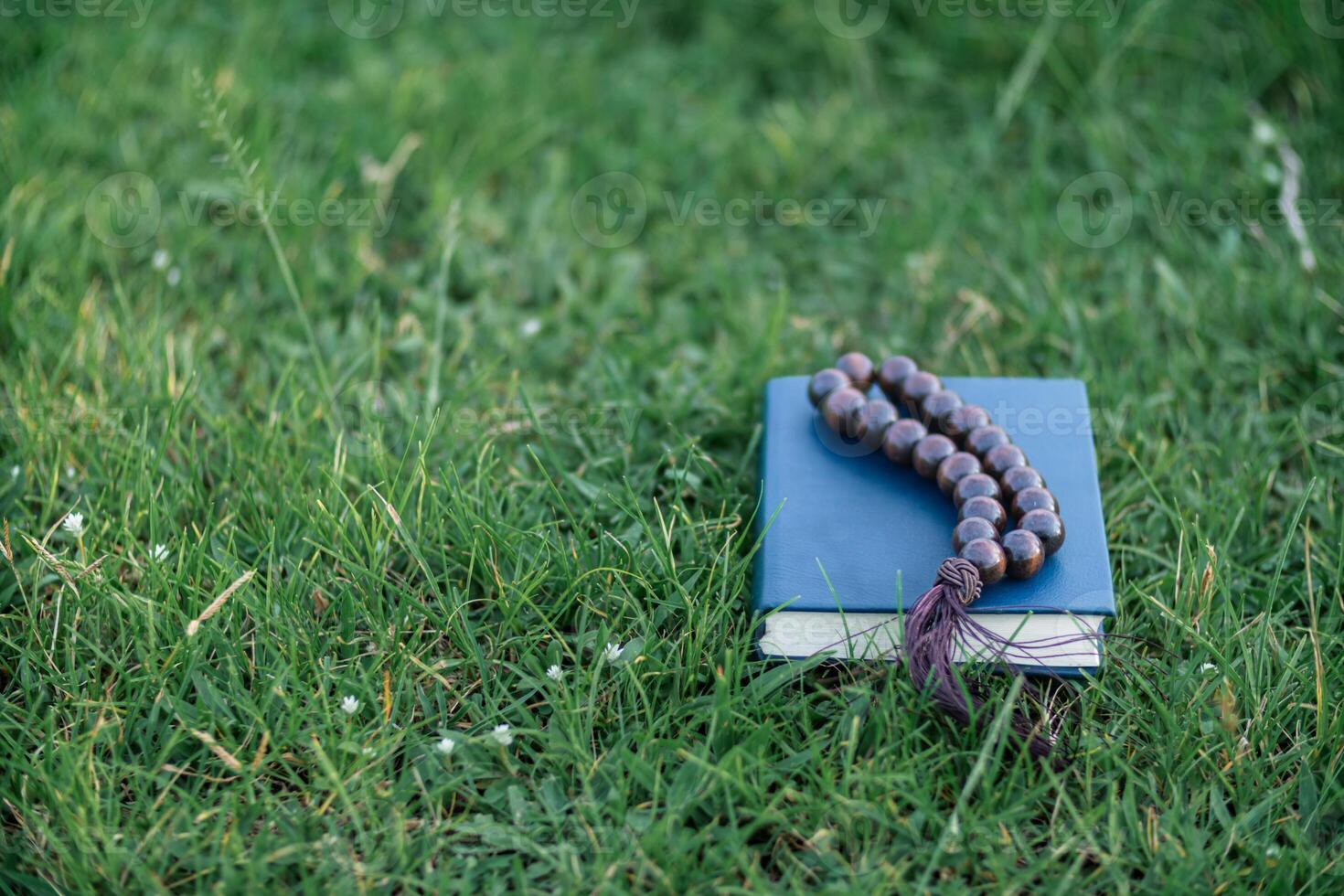 Bible lies on the grass after praying to God which is religious ritual of Christianity and belief in the teachings of God. The concept of praying to God with the teachings of the Bible and the cross. photo