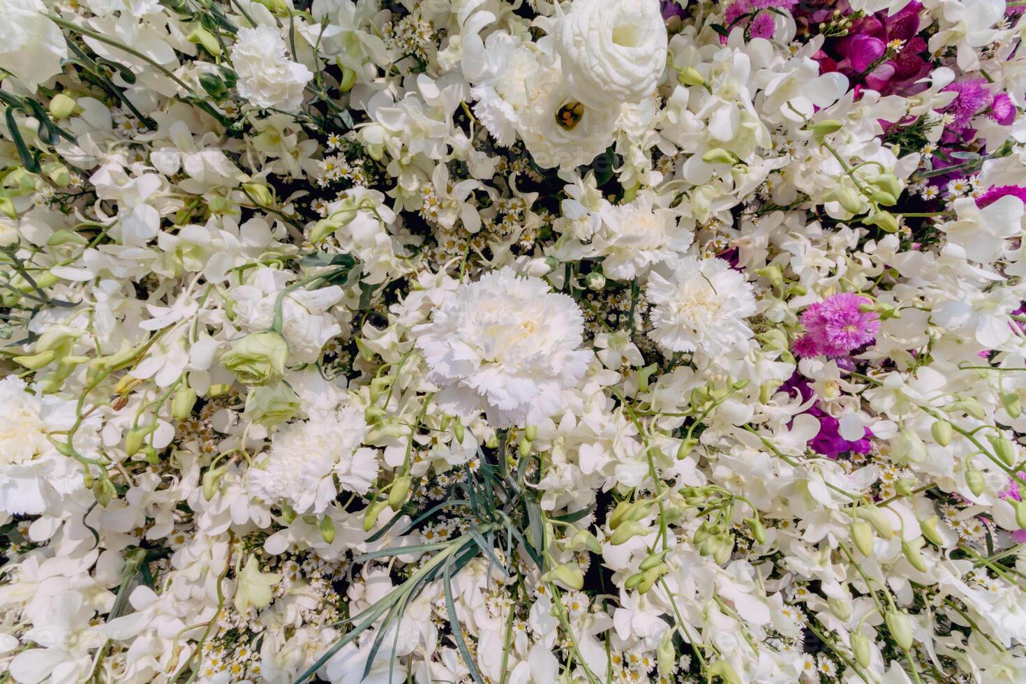 backdrop of beautifully arranged flower and bright colors is backdrop for flower in beautifully arranged garden at flower festival. Beautiful colorful background with Copy Space for inserting text. photo