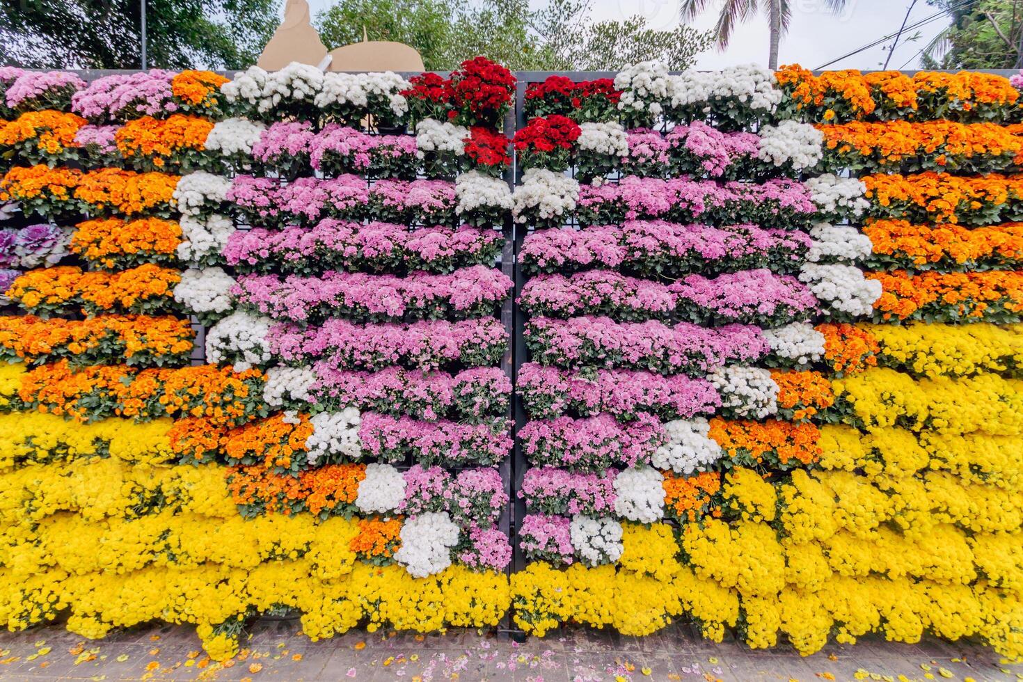backdrop of beautifully arranged flower and bright colors is backdrop for flower in beautifully arranged garden at flower festival. Beautiful colorful background with Copy Space for inserting text. photo