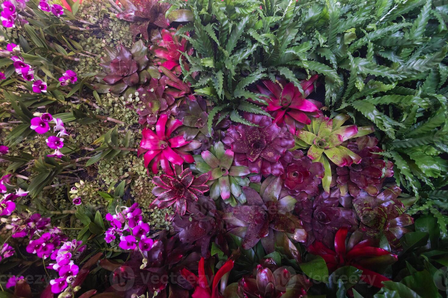 backdrop of beautifully arranged flower and bright colors is backdrop for flower in beautifully arranged garden at flower festival. Beautiful colorful background with Copy Space for inserting text. photo