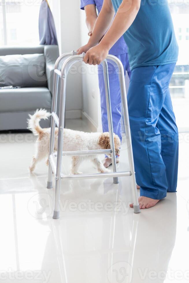 Doctors are examining patient muscle injuries and doing physical therapy for patient to move muscles so they can be used regularly because physical therapy will help strengthen muscles and blood flow. photo