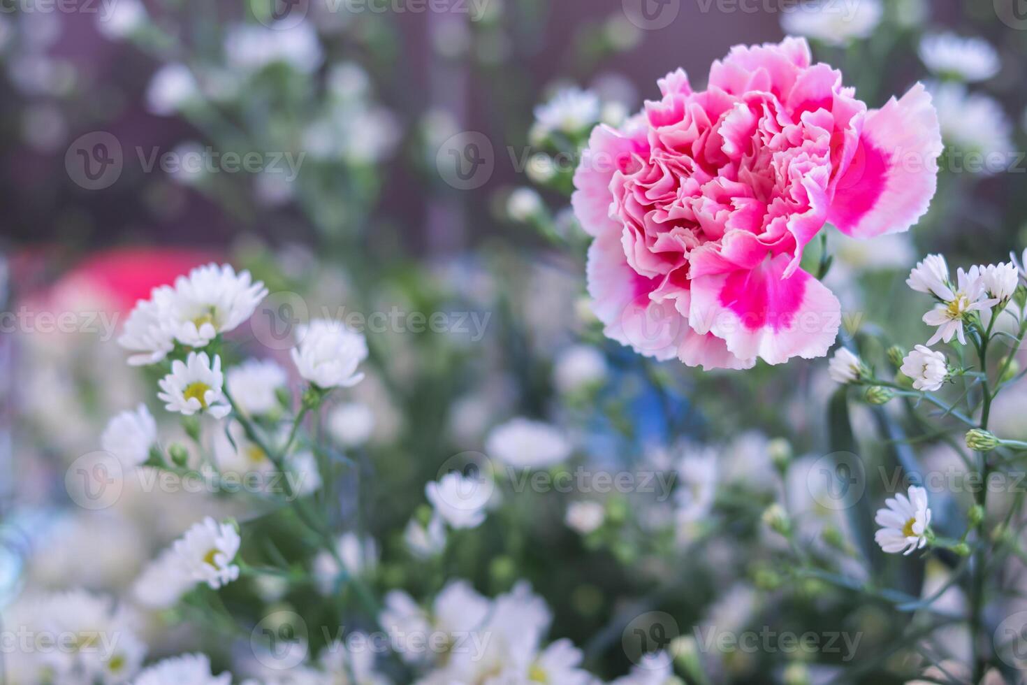 background of beautifully arranged flower and bright colors is backdrop for flower in beautifully arranged garden at flower festival. Beautiful colorful background with Copy Space for inserting text. photo