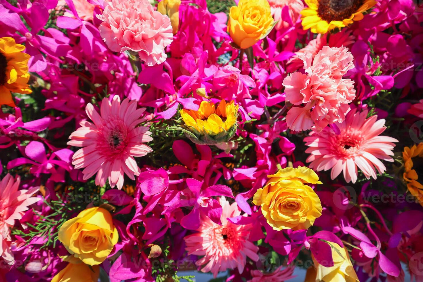 backdrop of beautifully arranged flower and bright colors is backdrop for flower in beautifully arranged garden at flower festival. Beautiful colorful background with Copy Space for inserting text. photo