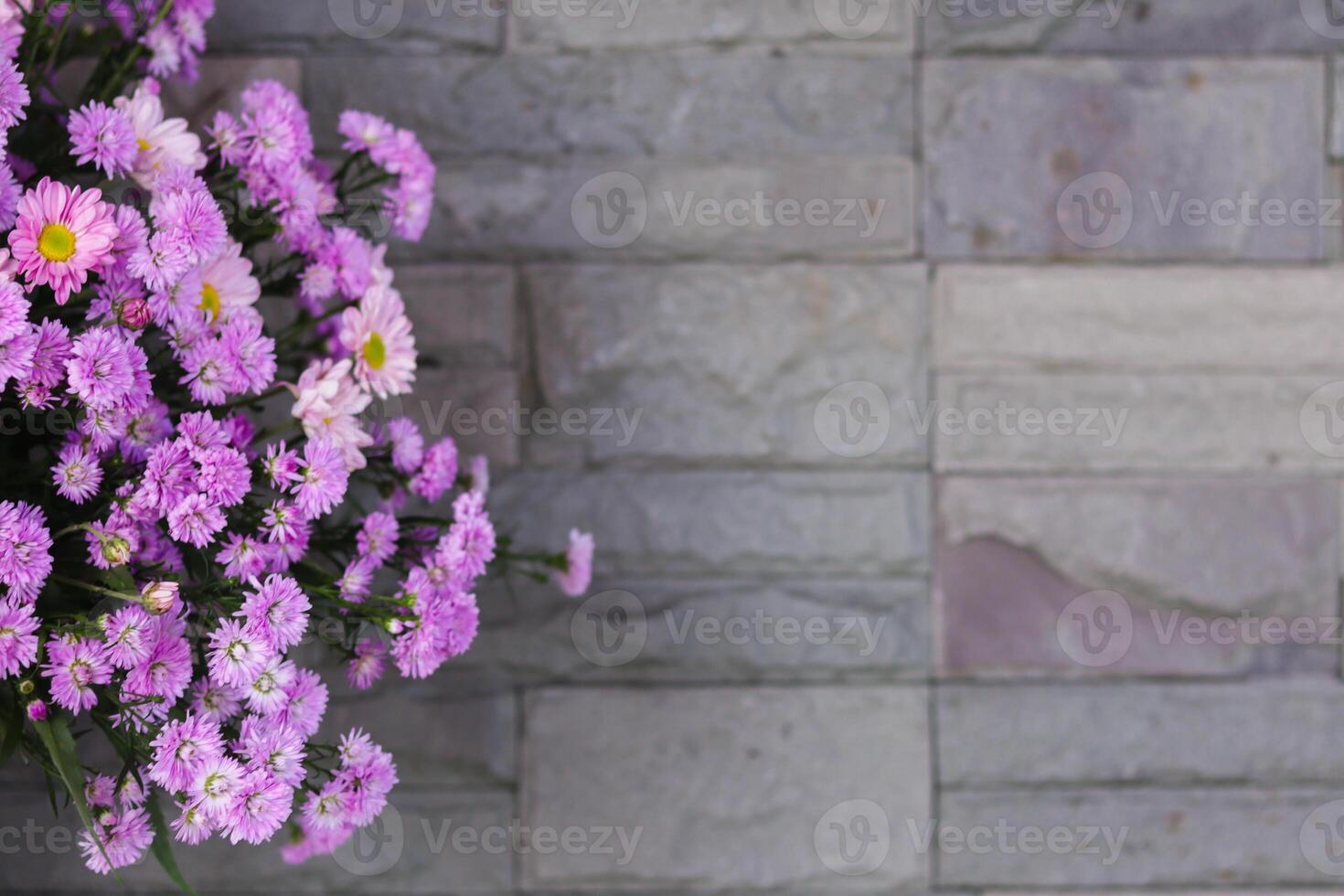 background of beautifully arranged flower and bright colors is backdrop for flower in beautifully arranged garden at flower festival. Beautiful colorful background with Copy Space for inserting text. photo