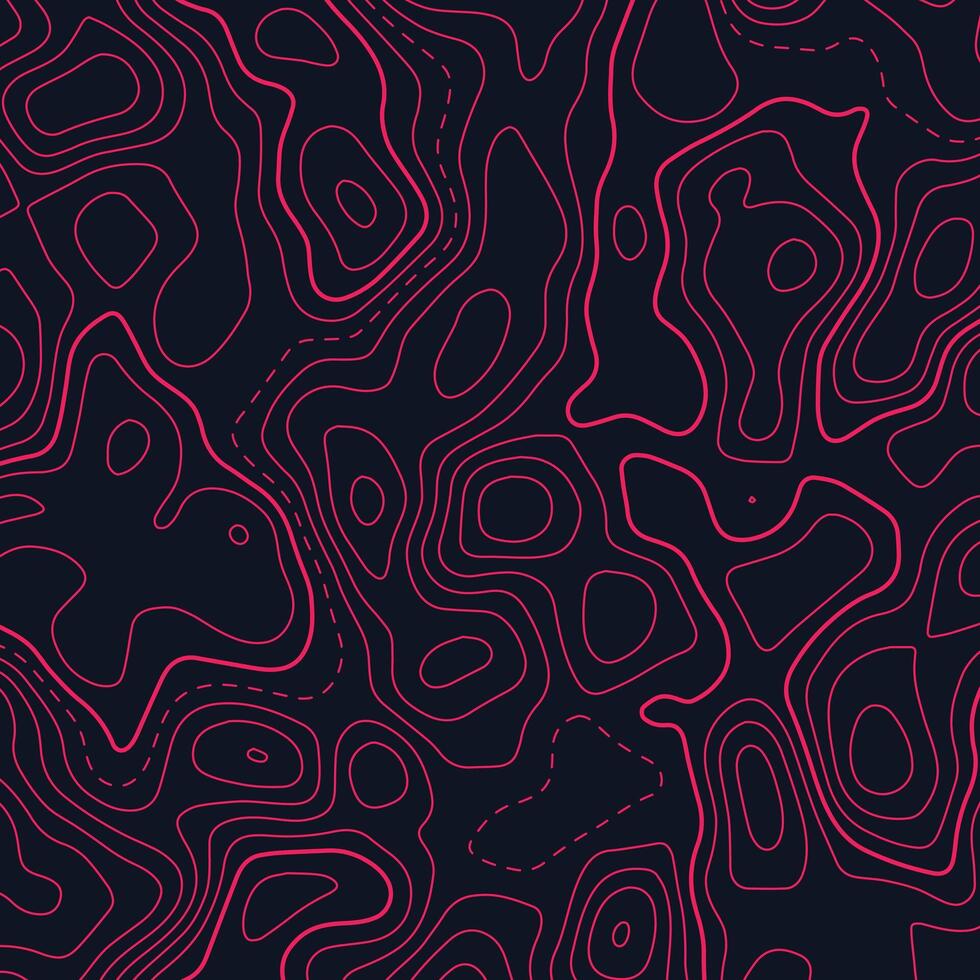 Topographic map design vector