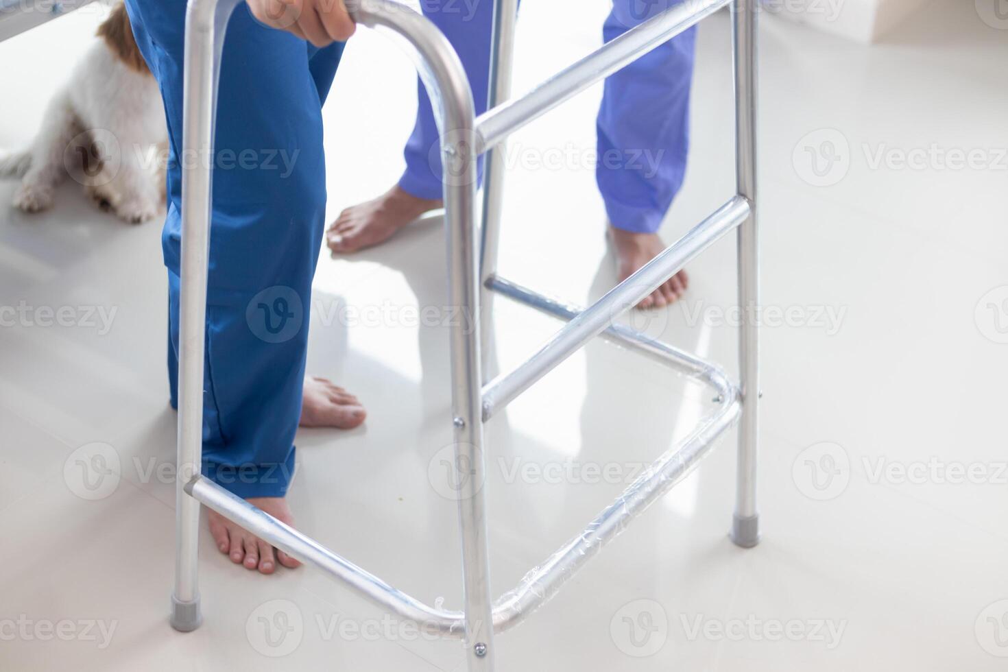 doctor is helping a patient move her muscles after recuperating from a muscle injury and wanting to rehabilitate her to be able to use her normal daily life with continuous physical therapy. photo