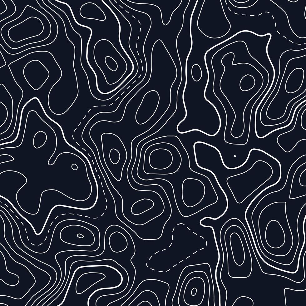 Topographic map design vector