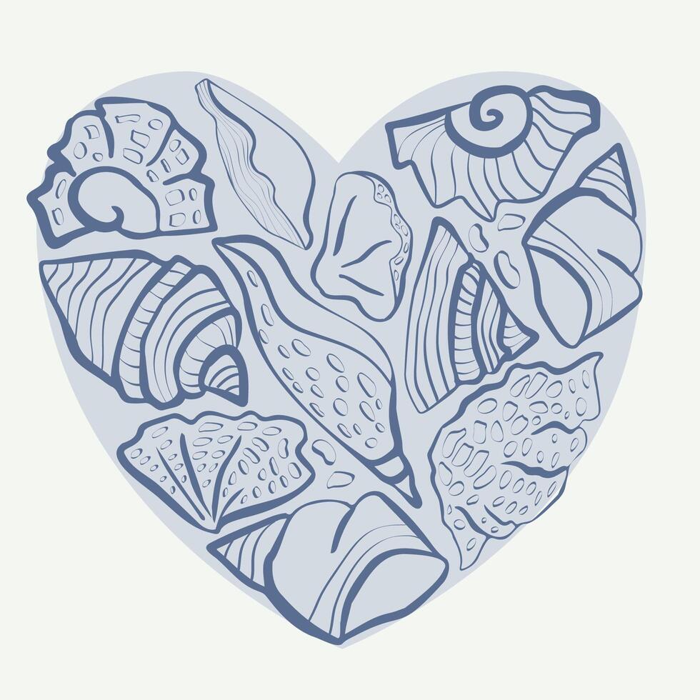 seashells in rhe heart vector