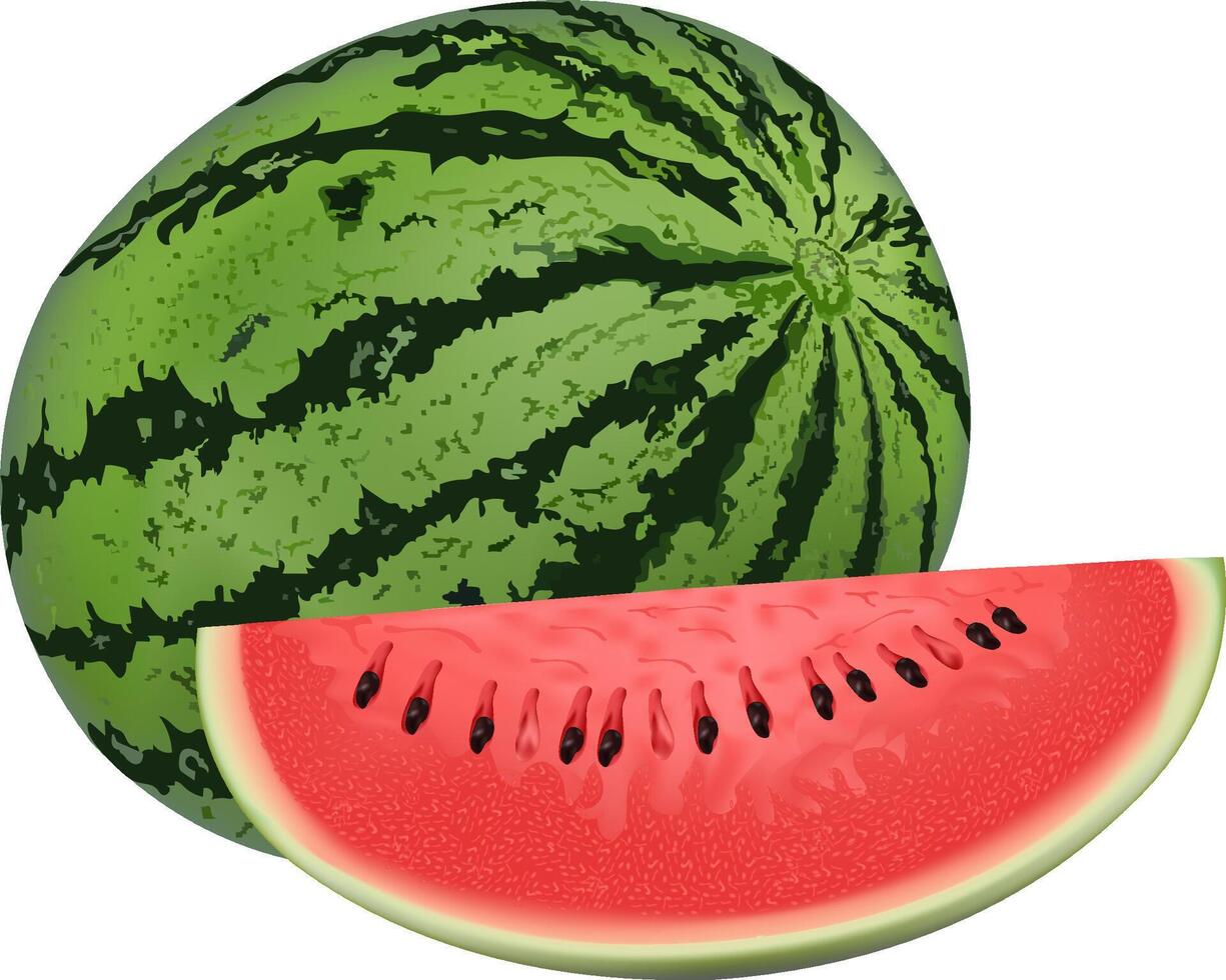 Watermelon and juicy watermelon slice illustration in flat design isolated on white background vector