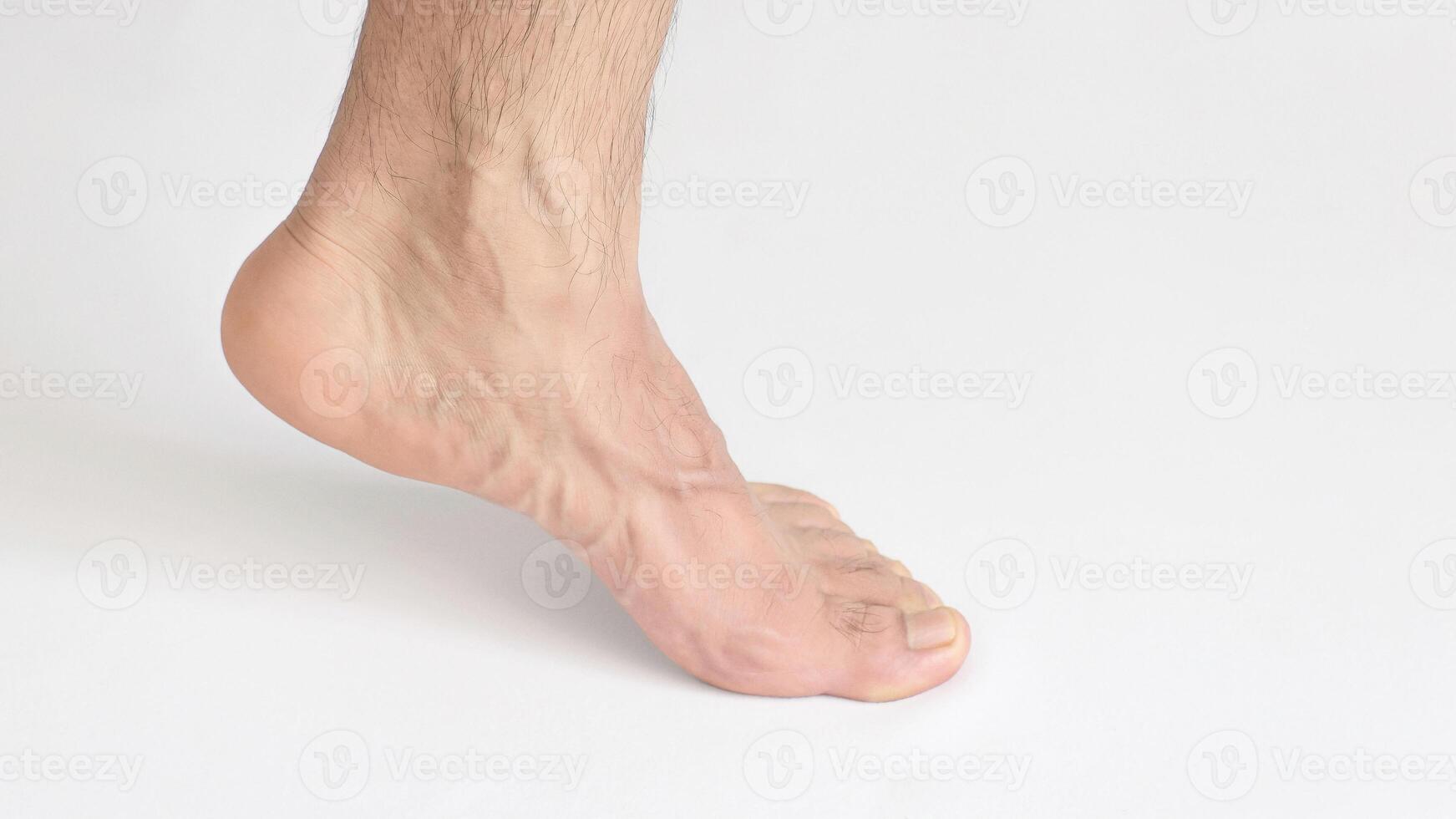Adult man foot viewed from the inner ankle, standing on tiptoe, left foot with space for text, white background, full foot photo