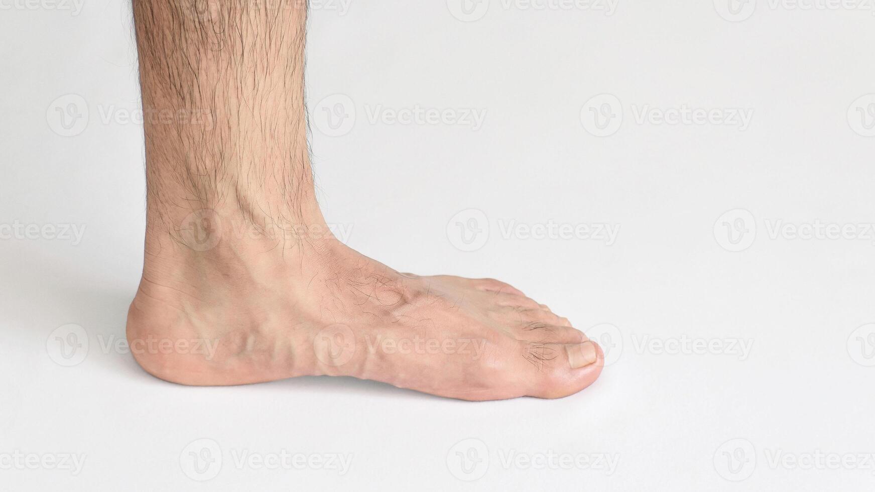 Inner view of adult man's ankle, against a white background with space for text, left foot, full foot photo