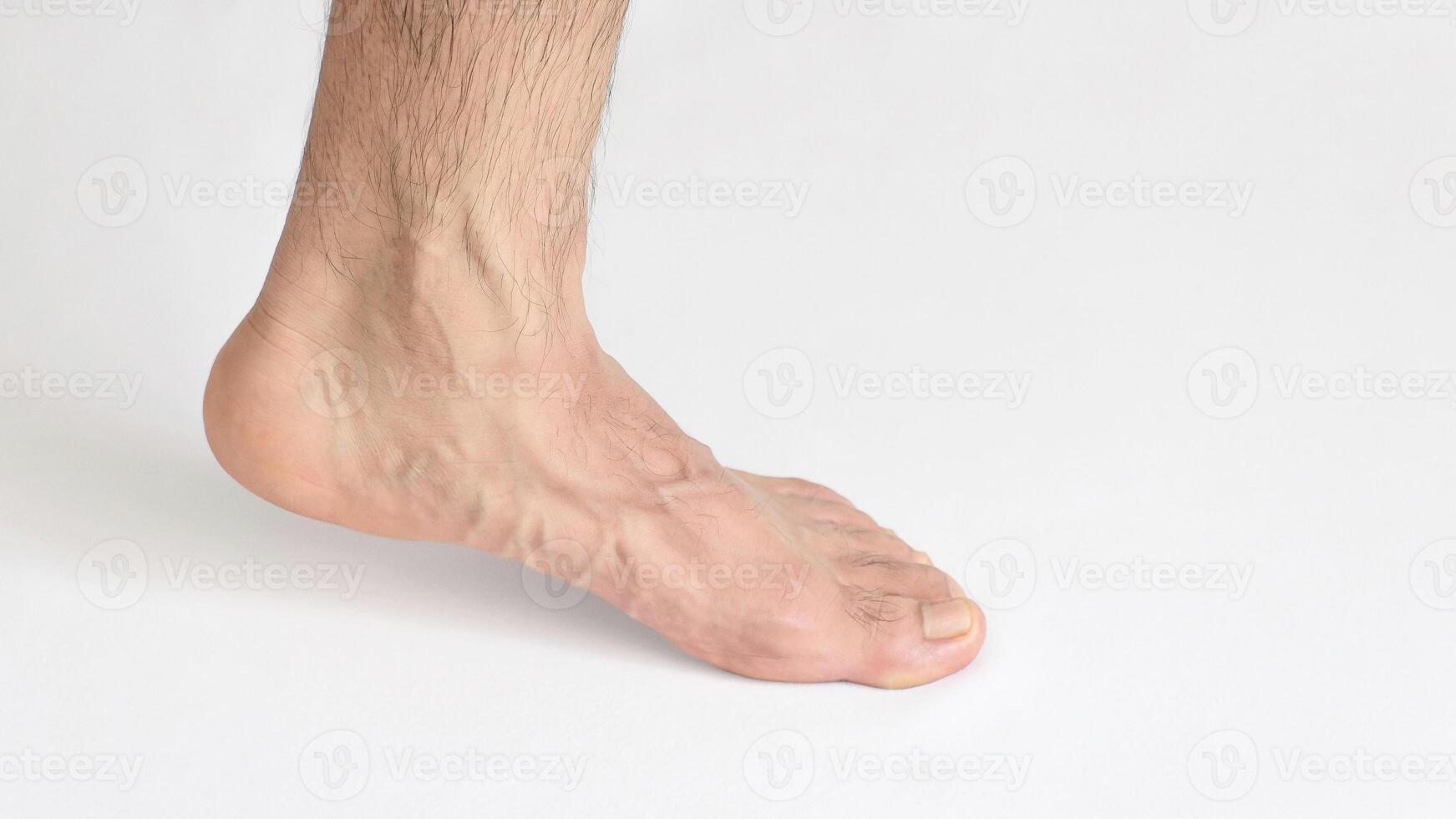 Adult man foot viewed from the inner ankle, standing on tiptoe, left foot with space for text, white background photo