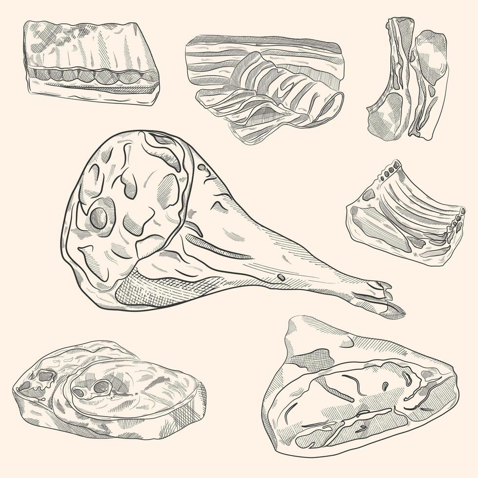 Meat outline icon set illustration. Hand drawn pork steaks with or without bone, jamon, prosciutto and ribs in white lines meat collection. vector