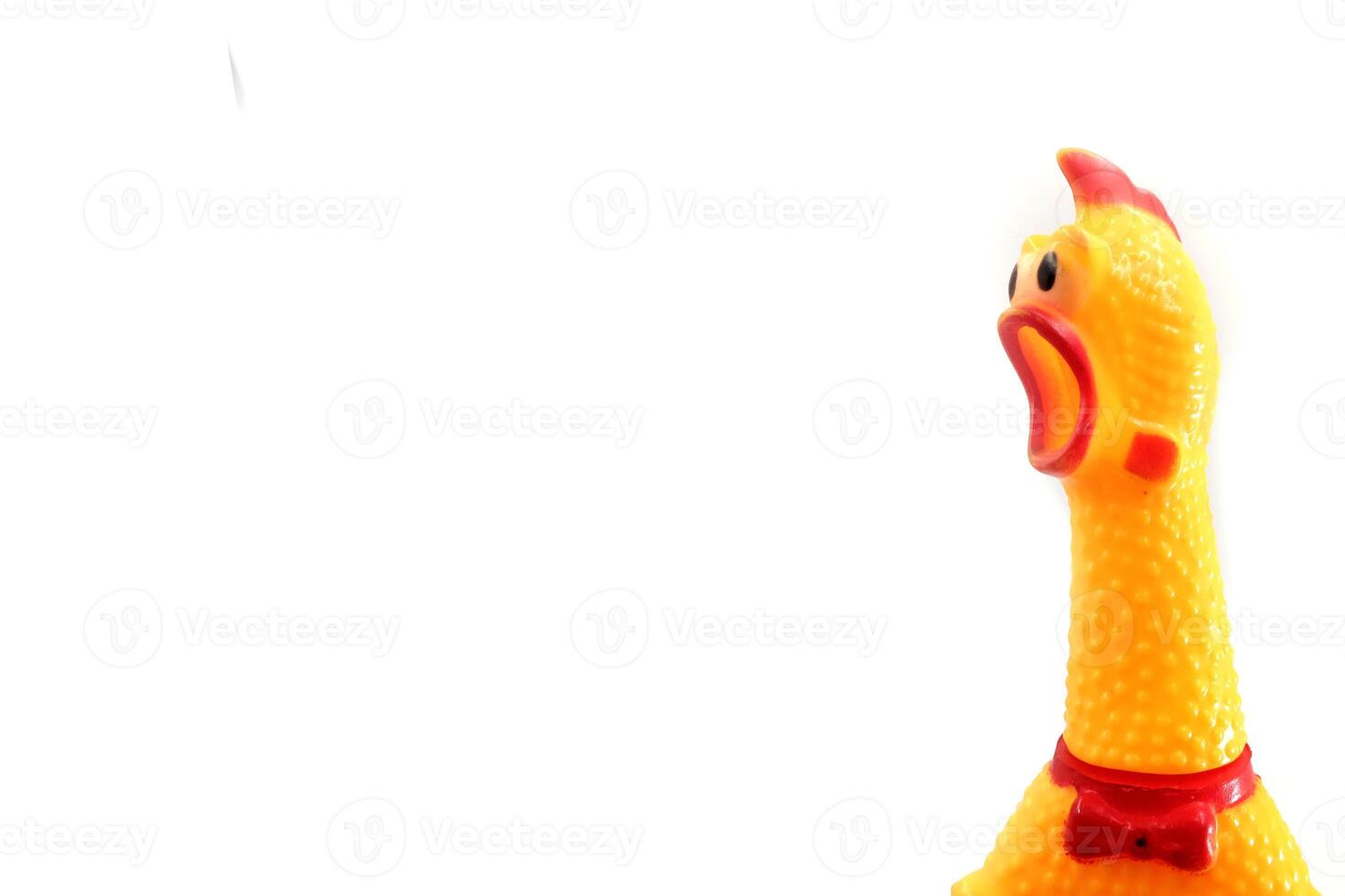 cute rubber chicken toy on white background photo