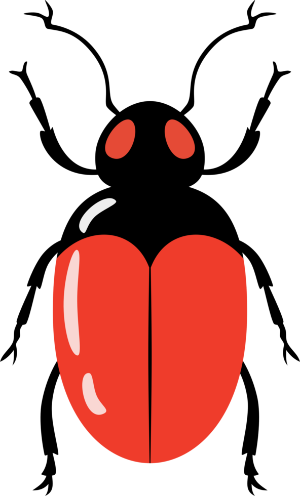 A bug with colorful color and beautiful pattern on its back wing. flat cartoon style. png