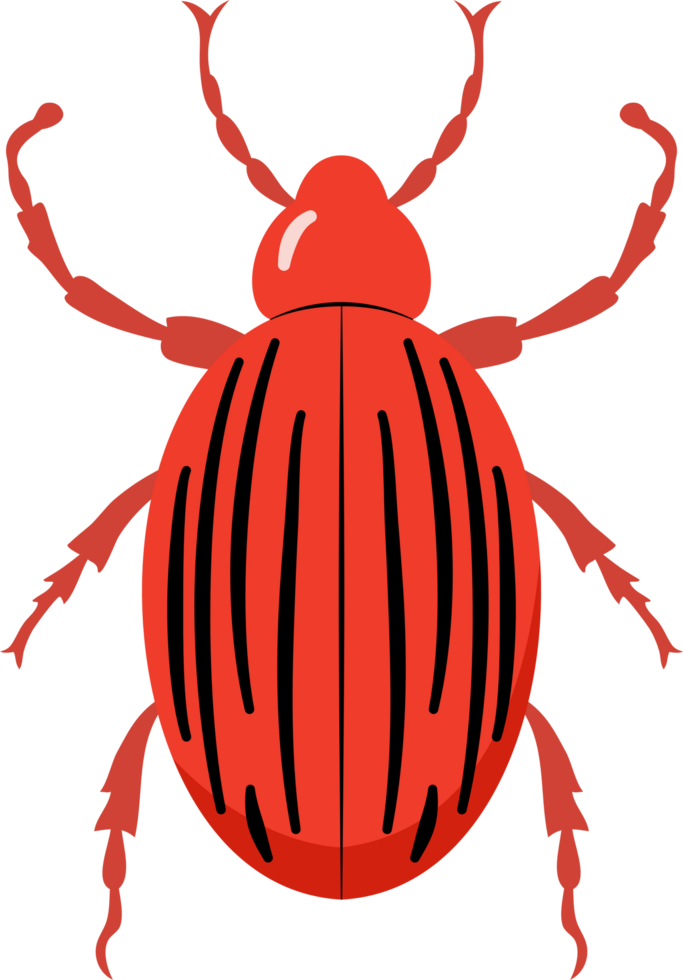 A bug with colorful color and beautiful pattern on its back wing. flat cartoon style. png
