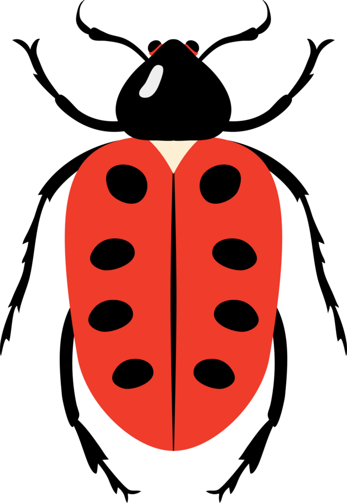 A bug with colorful color and beautiful pattern on its back wing. flat cartoon style. png
