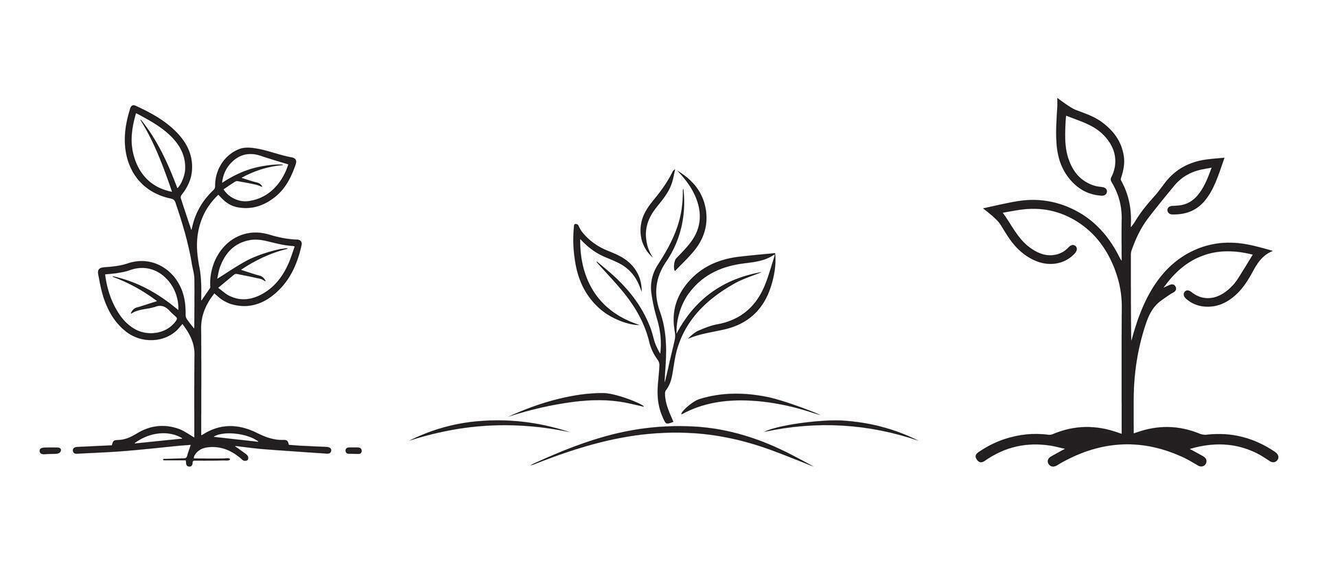 Seedling tree growing icon. Black nature green design. vector