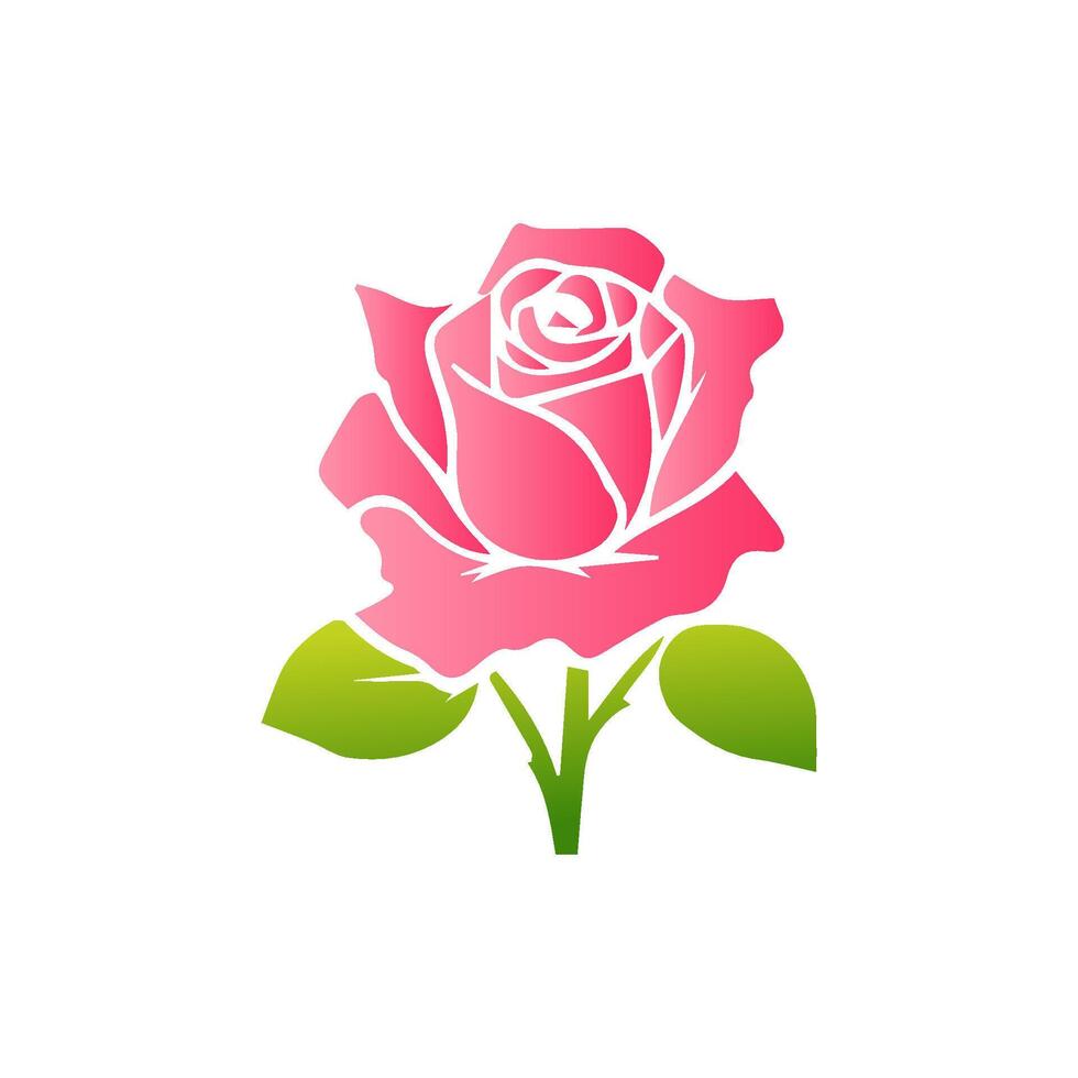 Pink rose flowers, floral decorated with gorgeous multicolored blooming flowers and leaves border. Spring botanical flat illustration on white background vector