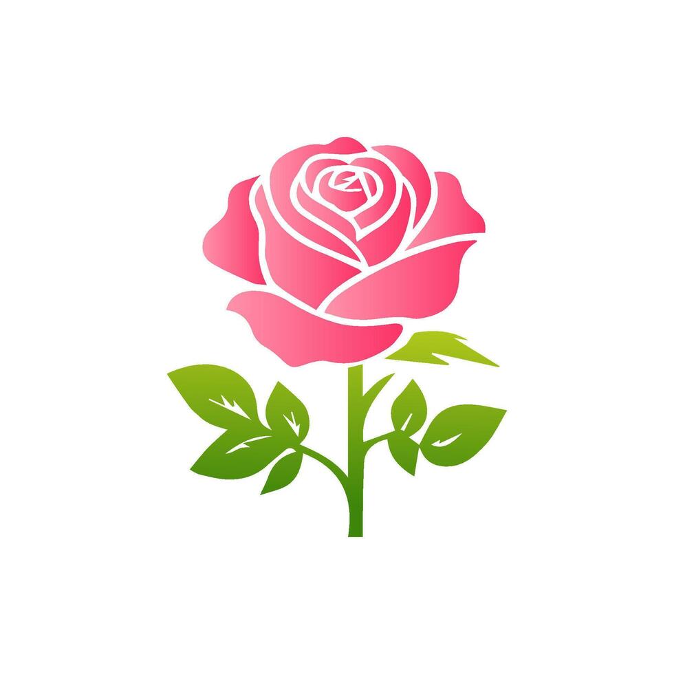 Pink rose flowers, floral decorated with gorgeous multicolored blooming flowers and leaves border. Spring botanical flat illustration on white background vector