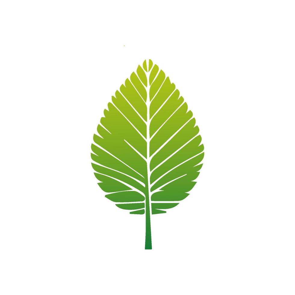 Green Tropical leaves isolated on white background. vector