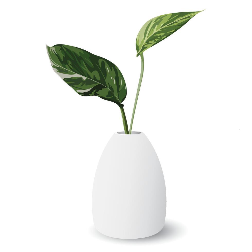 Golden pothos or devil's ivy in white ceramic vase isolated minimalist graphic illustration. Epipremnum aureum in a pot. vector